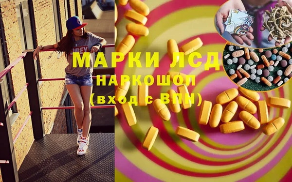 ECSTASY Алзамай