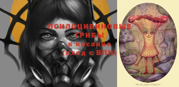 ECSTASY Алзамай