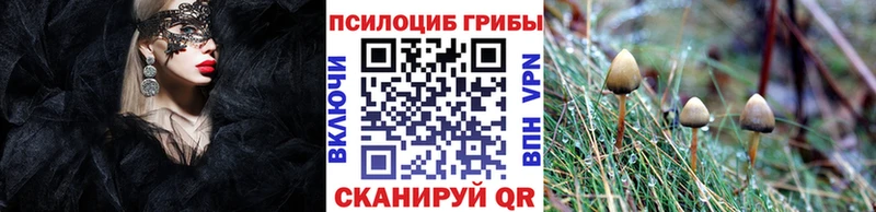наркошоп  Алзамай  Псилоцибиновые грибы прущие грибы 